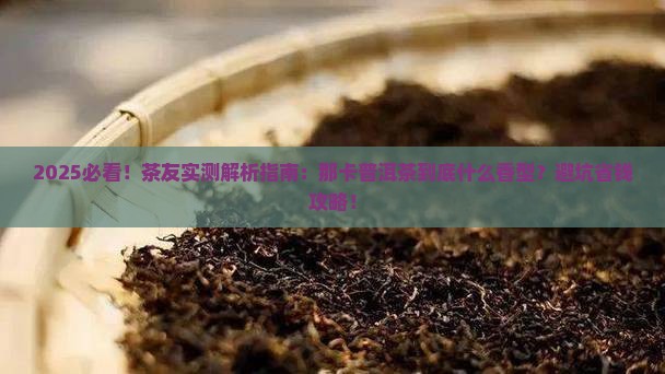 那卡普洱茶是什么香型