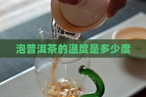 泡普洱茶的温度是多少度