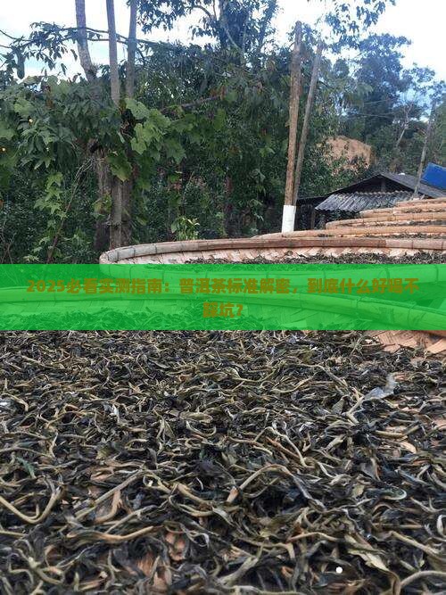 普洱茶国家标准普洱茶什么好喝