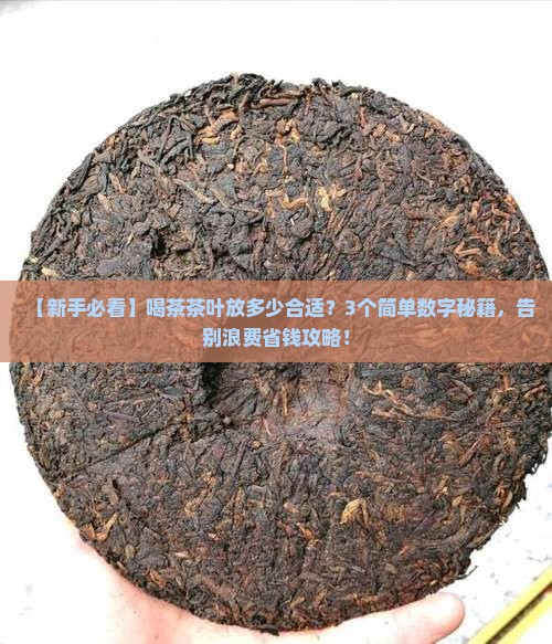 喝茶茶叶放多少合适