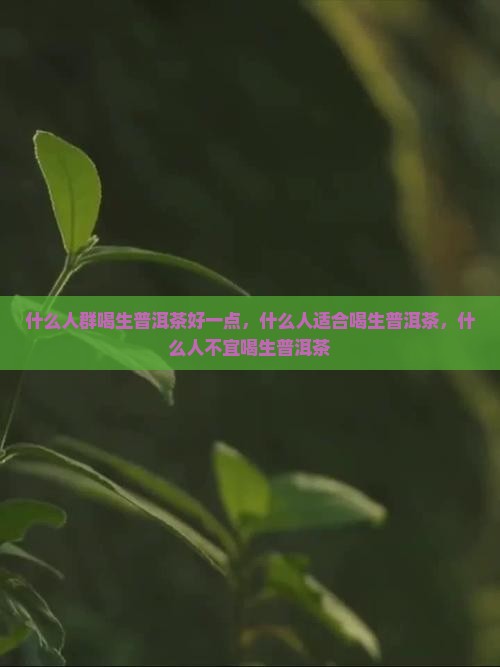 什么人群喝生普洱茶好一点