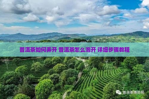 普洱茶如何弄开