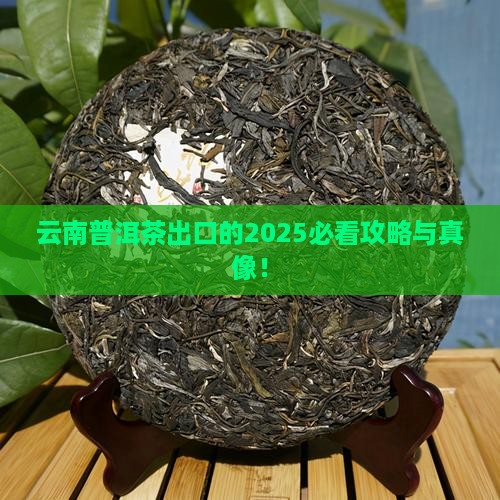云南普洱茶出口吗