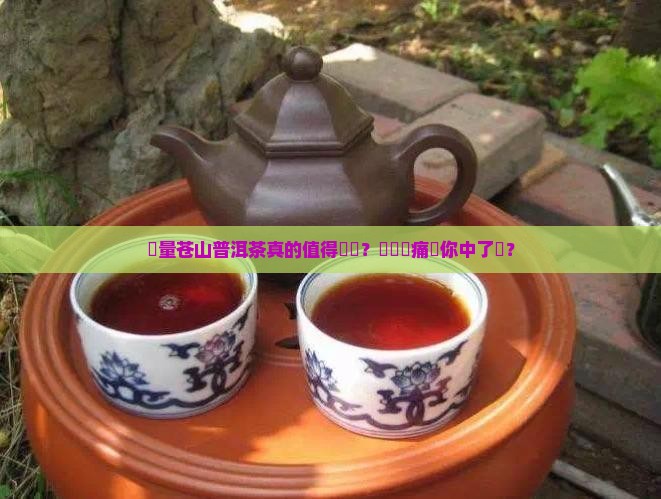 無量苍山普洱茶