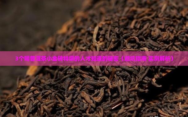 普洱茶小金砖特级
