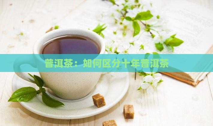 十年普洱茶怎么区别