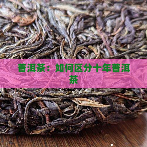 十年普洱茶怎么区别