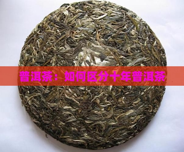 十年普洱茶怎么区别