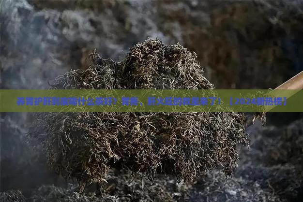 养胃护肝喝什么茶好
