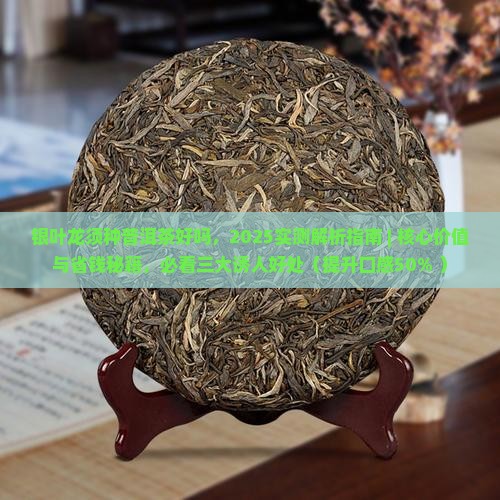 银叶龙须种普洱茶好吗