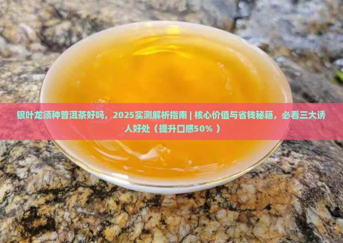 银叶龙须种普洱茶好吗