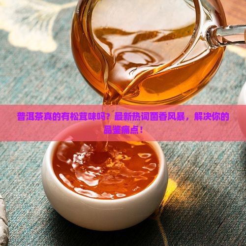 普洱茶有松茸味
