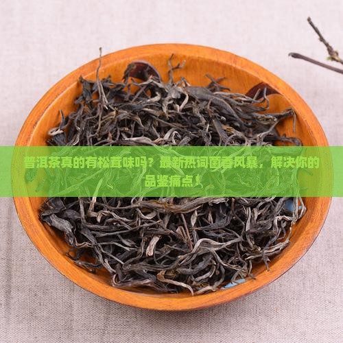 普洱茶有松茸味