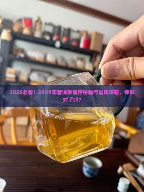 2009年普洱茶怎么储存