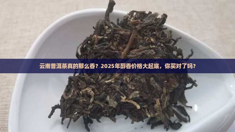 云南普洱茶醇香价格