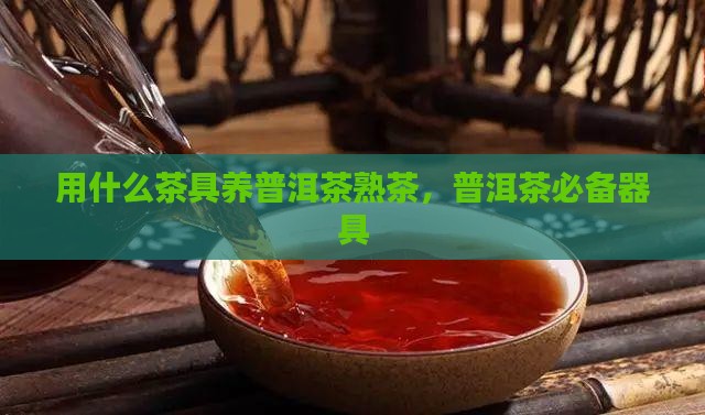 用什么器具养普洱茶熟茶