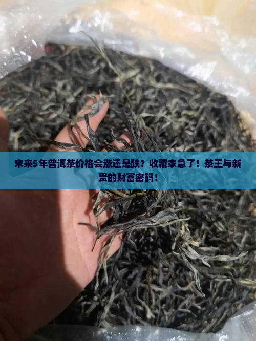 未来5年的普洱茶价格如何
