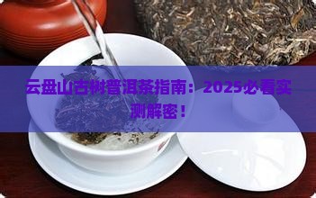 云盘山古树普洱茶