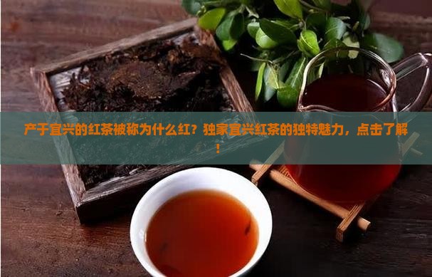 产于宜兴的红茶被称为什么红