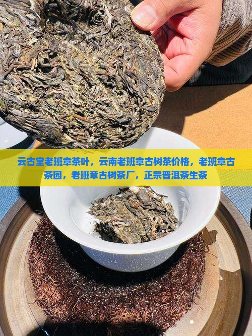云古堂老班章茶叶 云古堂老班章茶叶