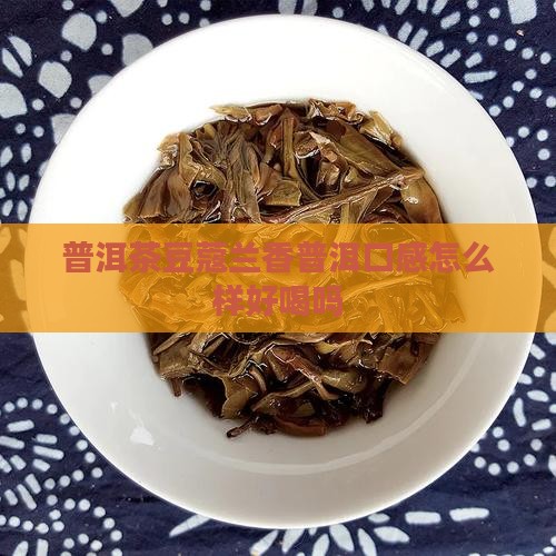 豆蔻兰香普洱茶好喝吗怎么样