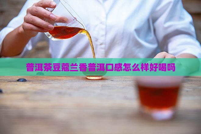 豆蔻兰香普洱茶好喝吗怎么样