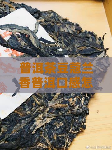 豆蔻兰香普洱茶好喝吗怎么样