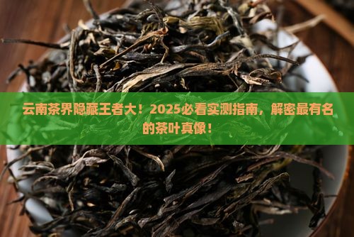 云南最有名的茶云南出名的茶叶