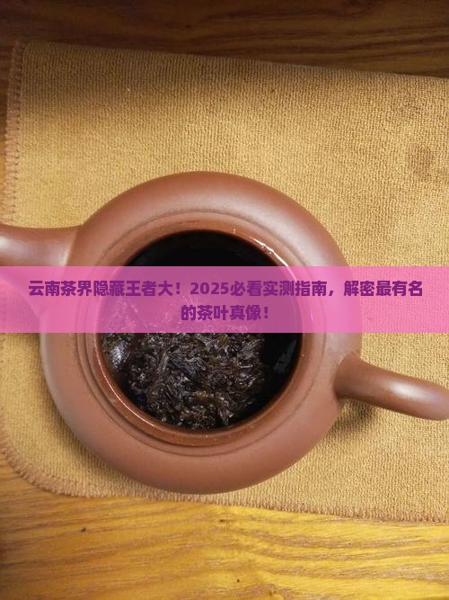云南最有名的茶云南出名的茶叶