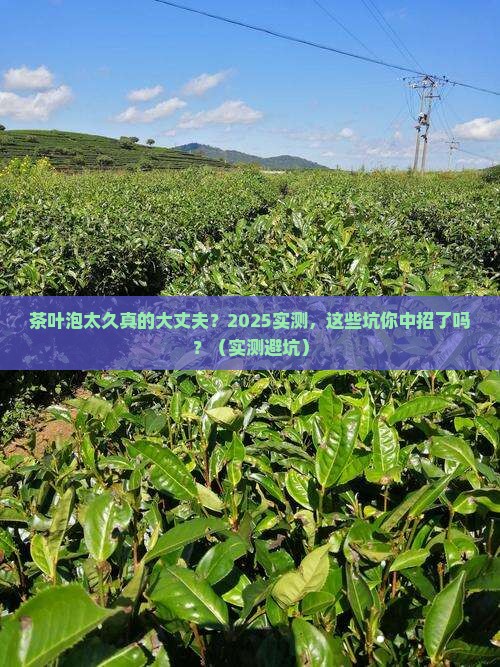 茶叶长时间浸泡有什么不好