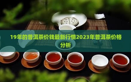 19年的普洱茶价钱