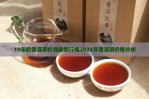 19年的普洱茶价钱
