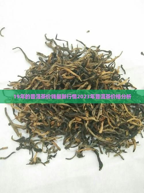 19年的普洱茶价钱