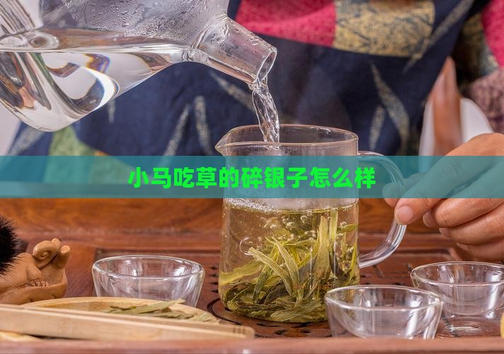 小马吃草的碎银子怎么样