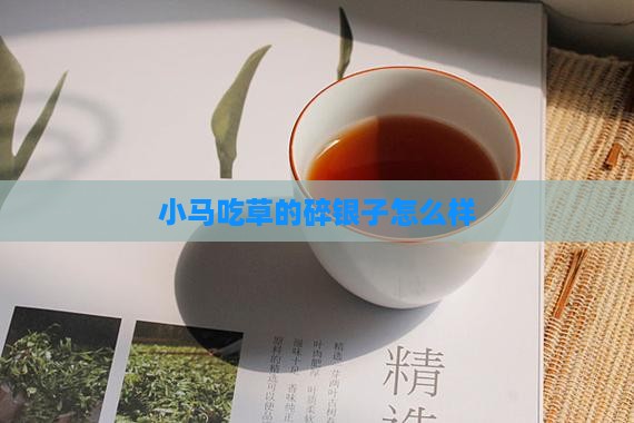 小马吃草的碎银子怎么样