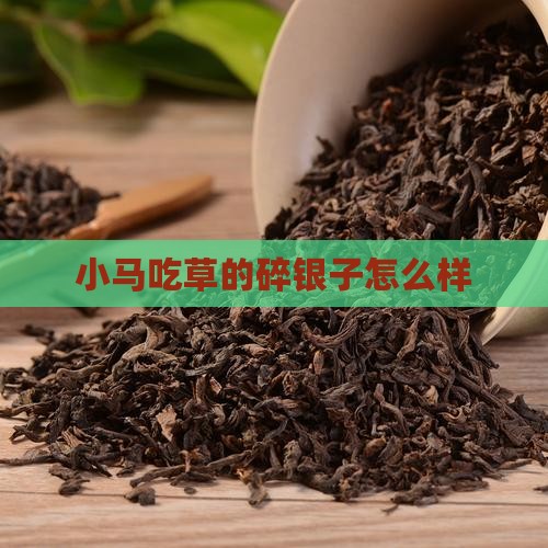 小马吃草的碎银子怎么样