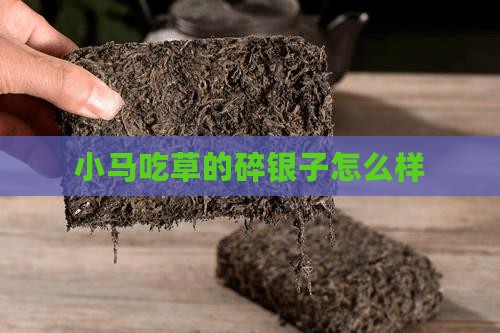 小马吃草的碎银子怎么样