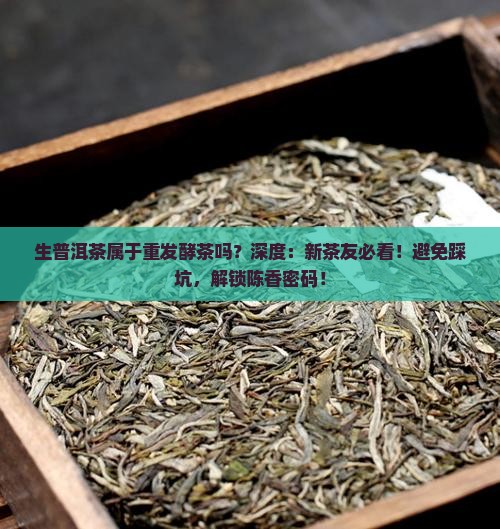 生普洱茶属于重发酵茶吗