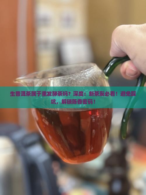 生普洱茶属于重发酵茶吗