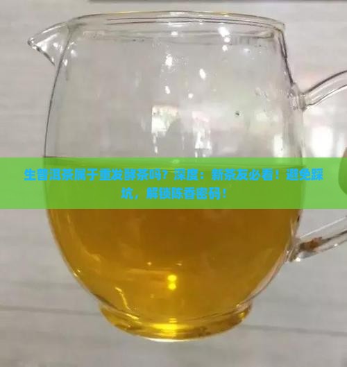 生普洱茶属于重发酵茶吗