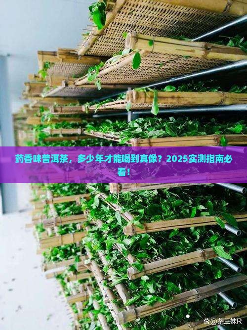 药香味普洱茶要多少年