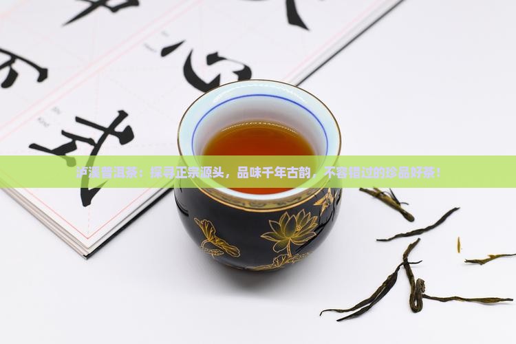 泸溪普洱茶品牌