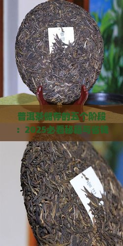 普洱茶储存的五个阶段