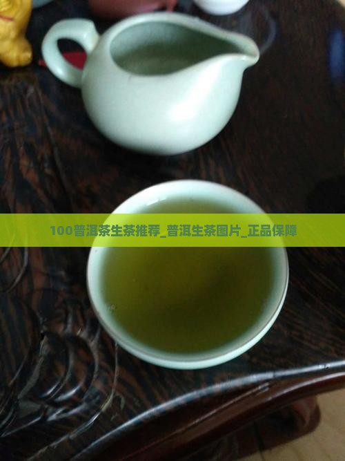 100普洱茶生茶