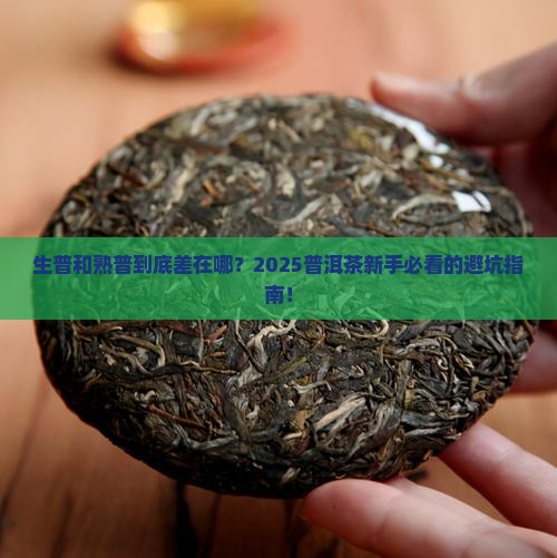 普洱茶中生熟的区别