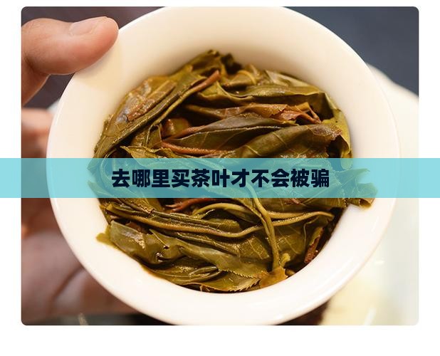 去哪里买茶叶不会被骗