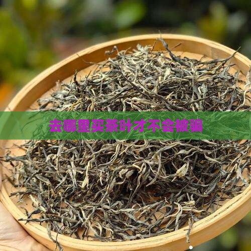 去哪里买茶叶不会被骗