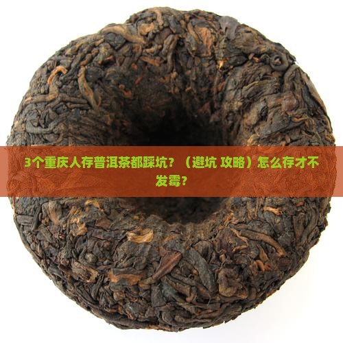 重庆怎么存储普洱茶
