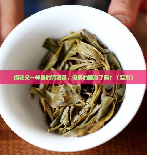 像花朵一样的普洱茶