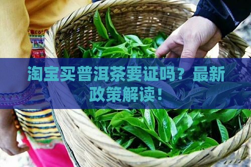 淘宝买普洱茶要证吗